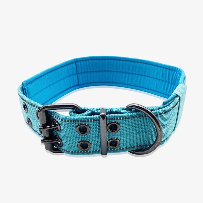 客製化項圈、狗項圈